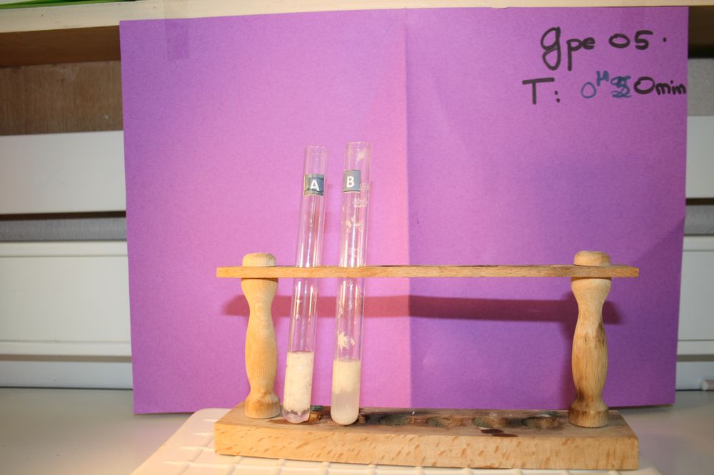 gal/LES_CINQUIEMES/ACTIVITE DIGESTION IN VITRO/Groupe_05/Groupe05_T_00h50min/Groupe05_T_00h_50min_2.JPG
